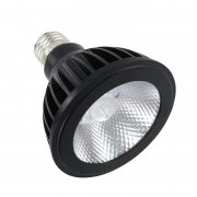 LED Par Lamps PAR20 PAR30 PAR38